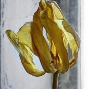 ��������� ������