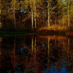 ��������� � �������