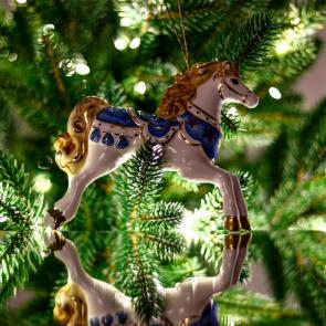 ����: ������.���������.