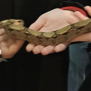 ���� � �����