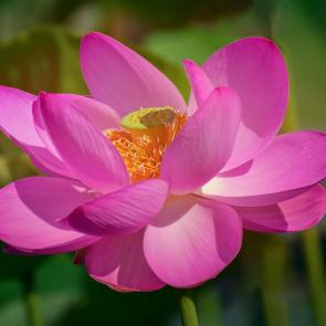 ����: ��������� ������ �����