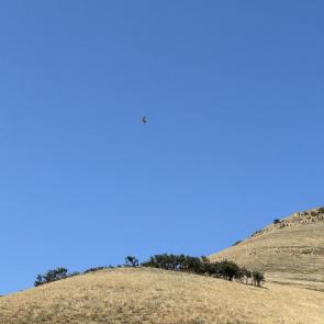 ���������� ���������������