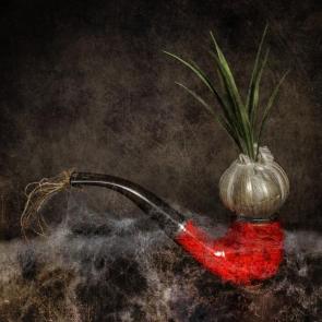 ����: ���������