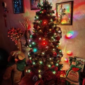 ��������� ����������� ���������