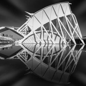 ����: ���������