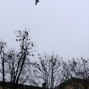 ����: ���� �� ���