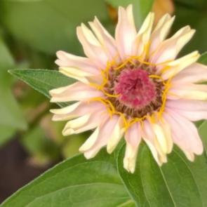 ����: ��������