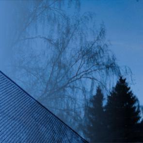 ����: �����������