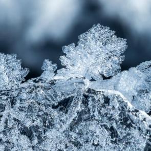 ���� ��������: �������