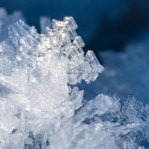 ���� ��������: �������