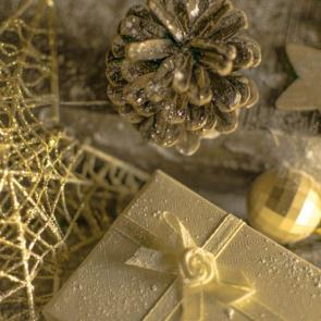 ��������� ����������� ���������