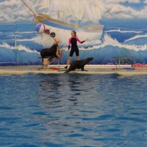 ����: ��� ��� ���