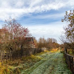 ����: ������ �����