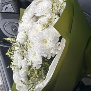 ����: �������� 