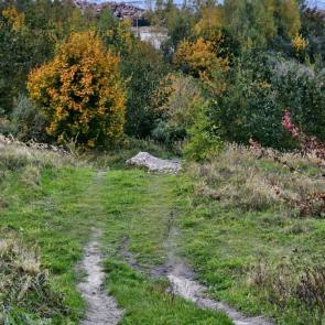 ����: ������ � ����