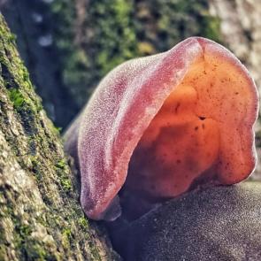 �������� � �����