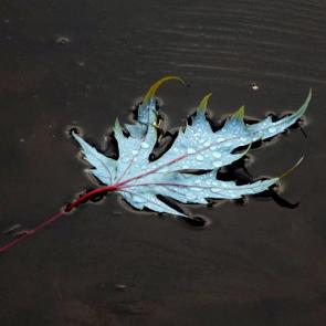 ����: �� ��������, �����...