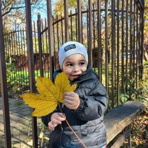 ������ � ���������