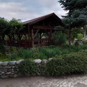 ����: �����