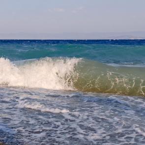 ����: 50 �������� ����