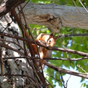 ����: � ���� ����