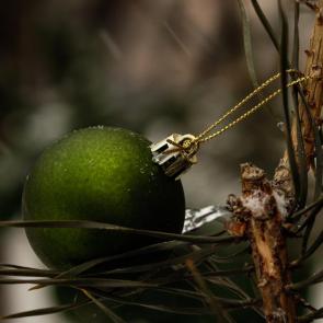 ����: ���������� ���