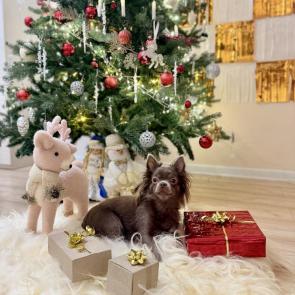 ����: ��������� ��������