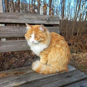 ����: ������ ���