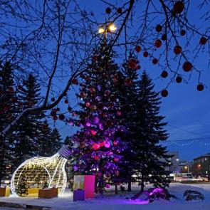 ����: ���������.