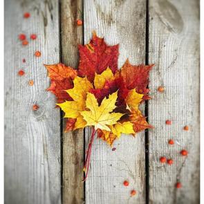 ����: ������� �������