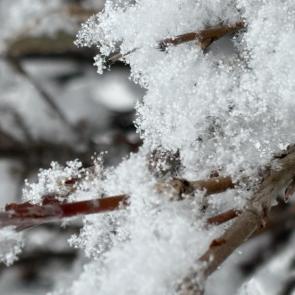 ����: ������ ���