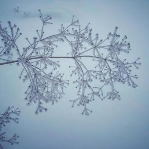 ����: ������ �������