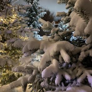 ����: ������ ������