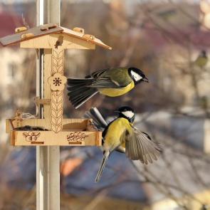 ����: ������� ���������. 