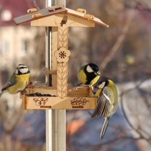 ����: ��������� � �������. 