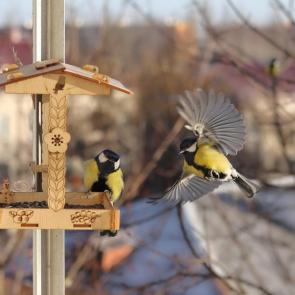 ����: �� �����. 