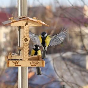 ����: ��� �����? 