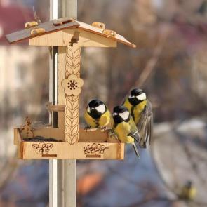 ����: ���������. 