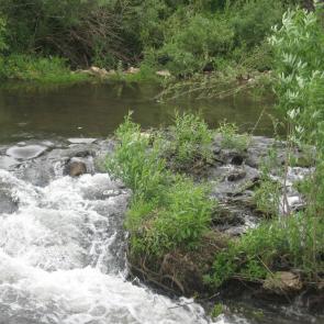 ����: �� ��������