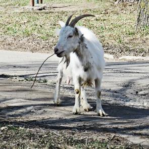 ������� � �����