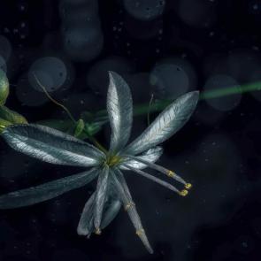 ����: ����.