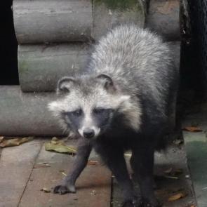 ���� ��������: ����