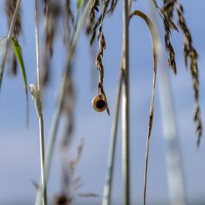 ����: ���������� ��� �������. ������