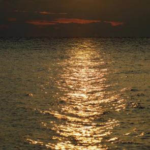 ����: �������