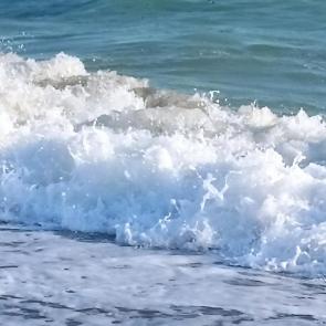 ����: ������ ����