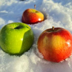 ����: ������ �� �����