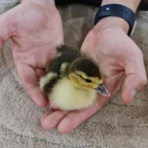 ���� � �����