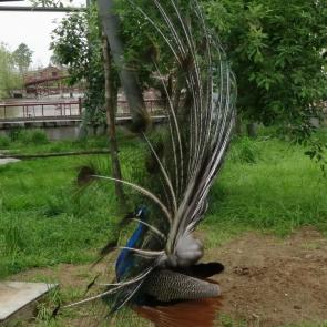 �������� ������