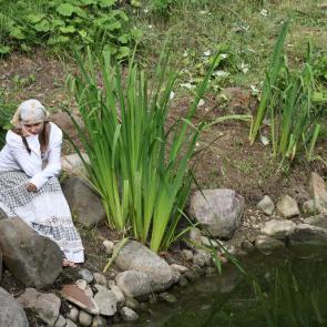 ������������ ����������