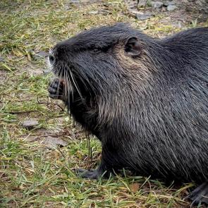 �������� ������ ���